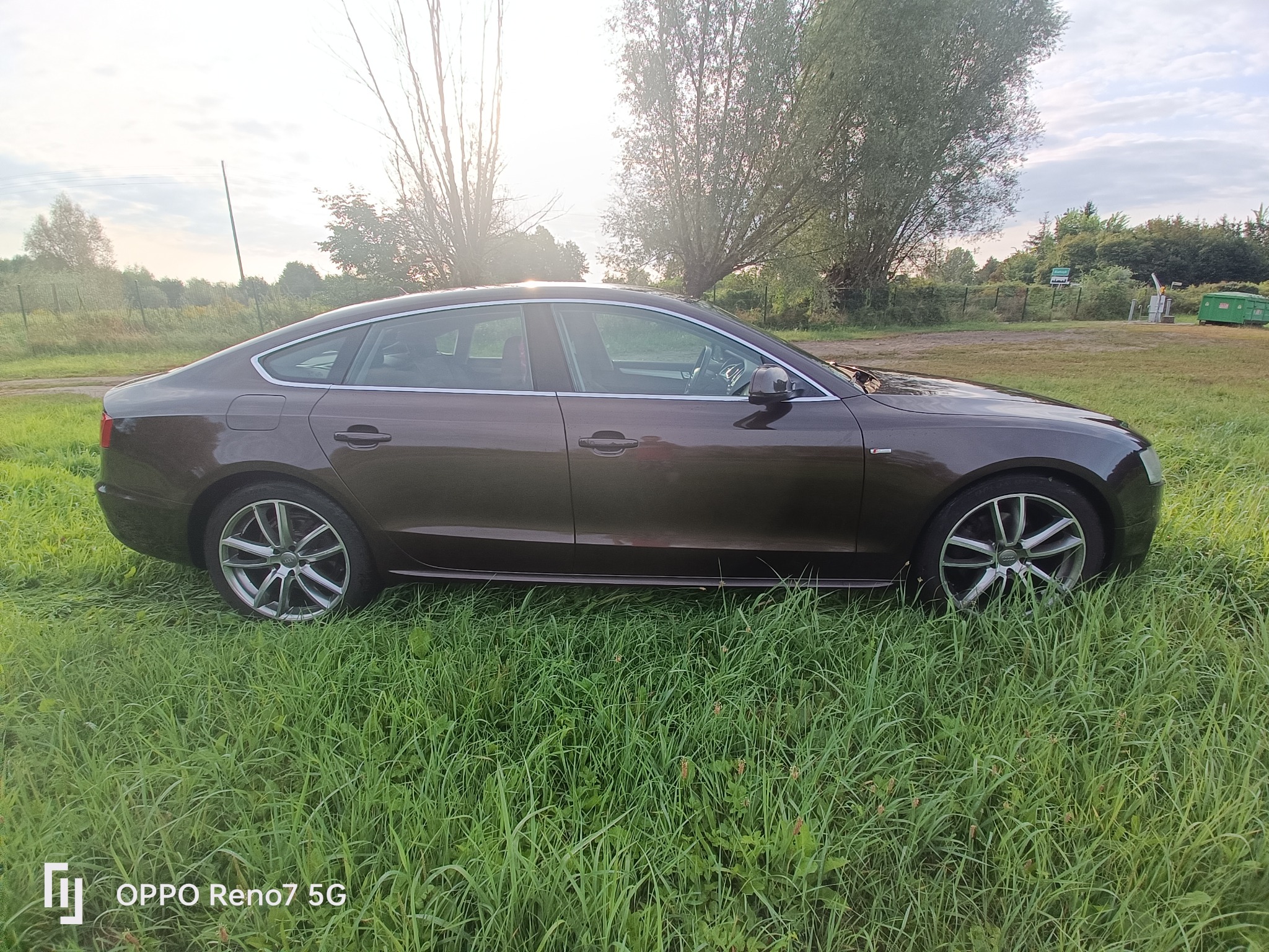 Brązowe Audi A5 Sportback na trawiastym terenie, widok z boku, srebrne felgi, drzewa w tle, lekko pochmurne niebo, pora dnia wczesne popołudnie, naturalne oświetlenie.