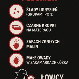 Usuwanie pluskiew Kraków, dezynsekcja Łowcy Pluskiew