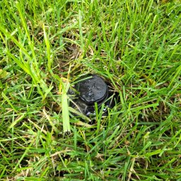 Wood Vibes Only - Czarny zraszacz Rain Bird zanurzony w gęstej, zielonej trawie. Krople wody na obudowie sugerują świeże nawadnianie. Widok z góry.