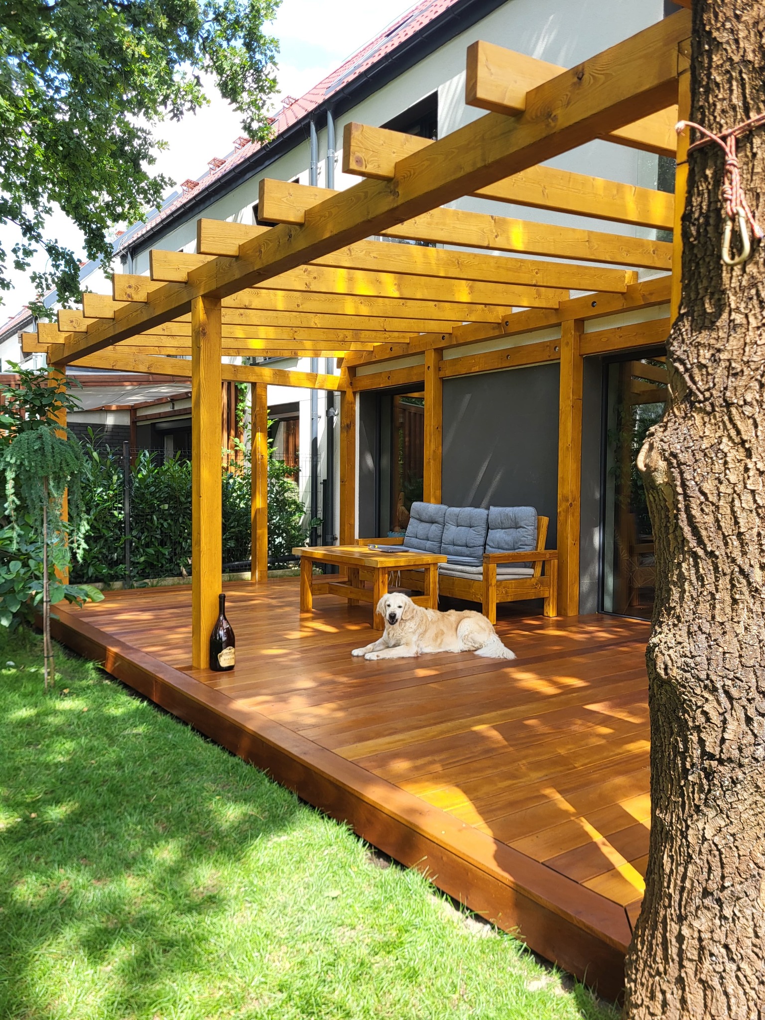 Nowoczesny taras drewniany z jasnego drewna, zadaszony pergolą. Na tarasie leży pies rasy golden retriever, obok butelka. W tle dom z dużymi oknami.