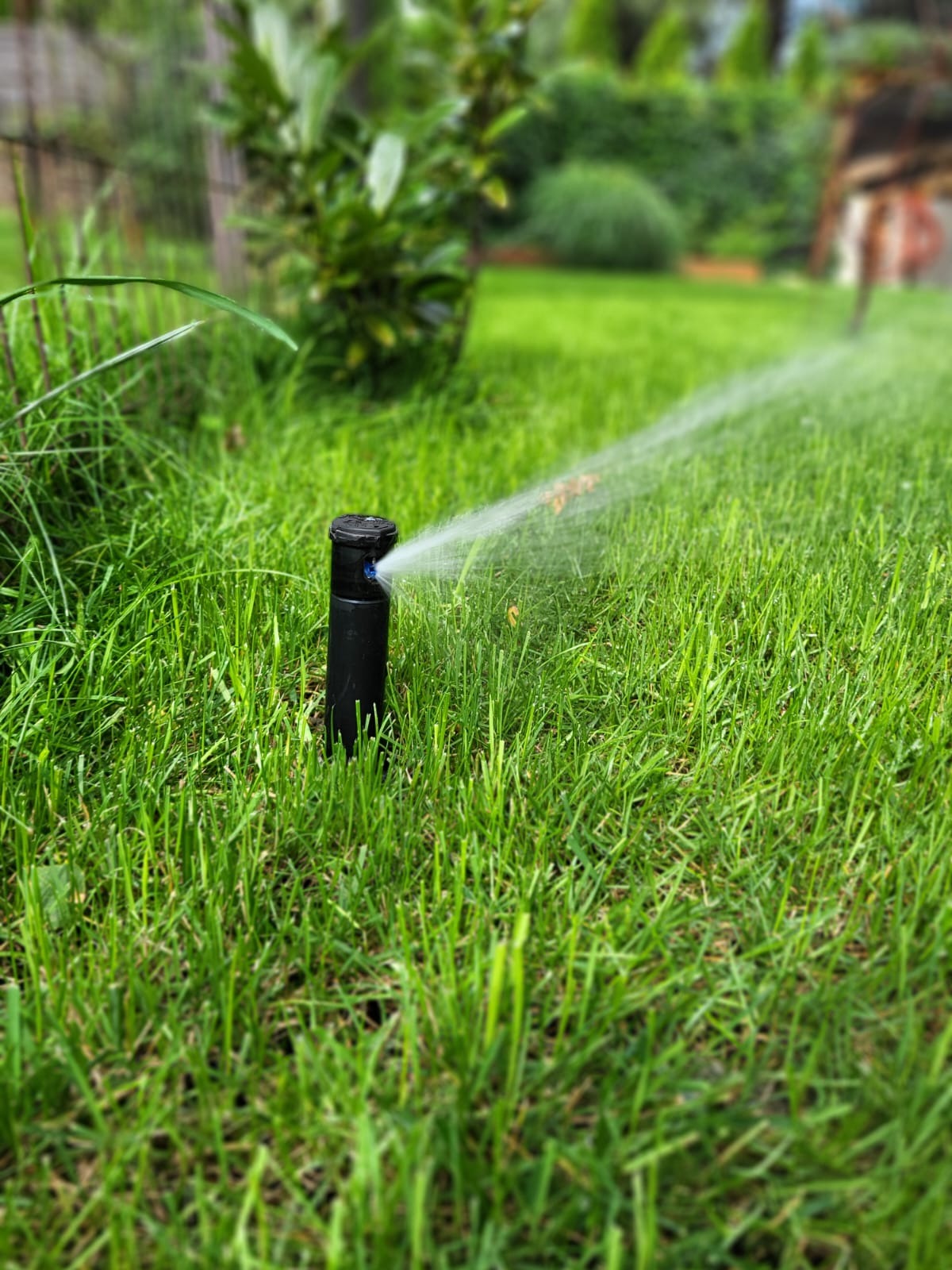 Działający zraszacz trawnikowy, wyrzucający strumień wody na soczystą, zieloną trawę. W tle widoczne krzewy i drzewa.