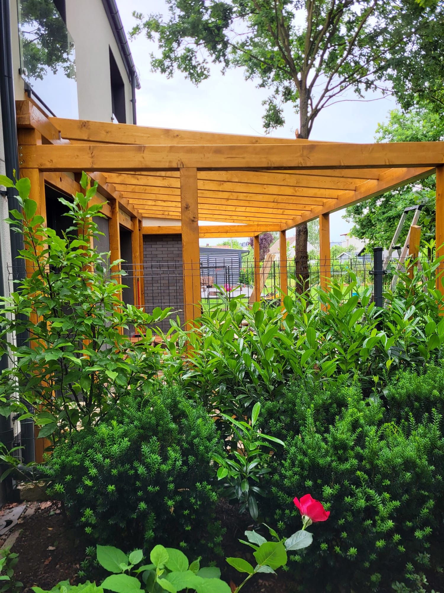 Drewniana pergola w ogrodzie, widziana z poziomu gruntu, otoczona zielenią. Widoczne elementy konstrukcyjne i roślinność.