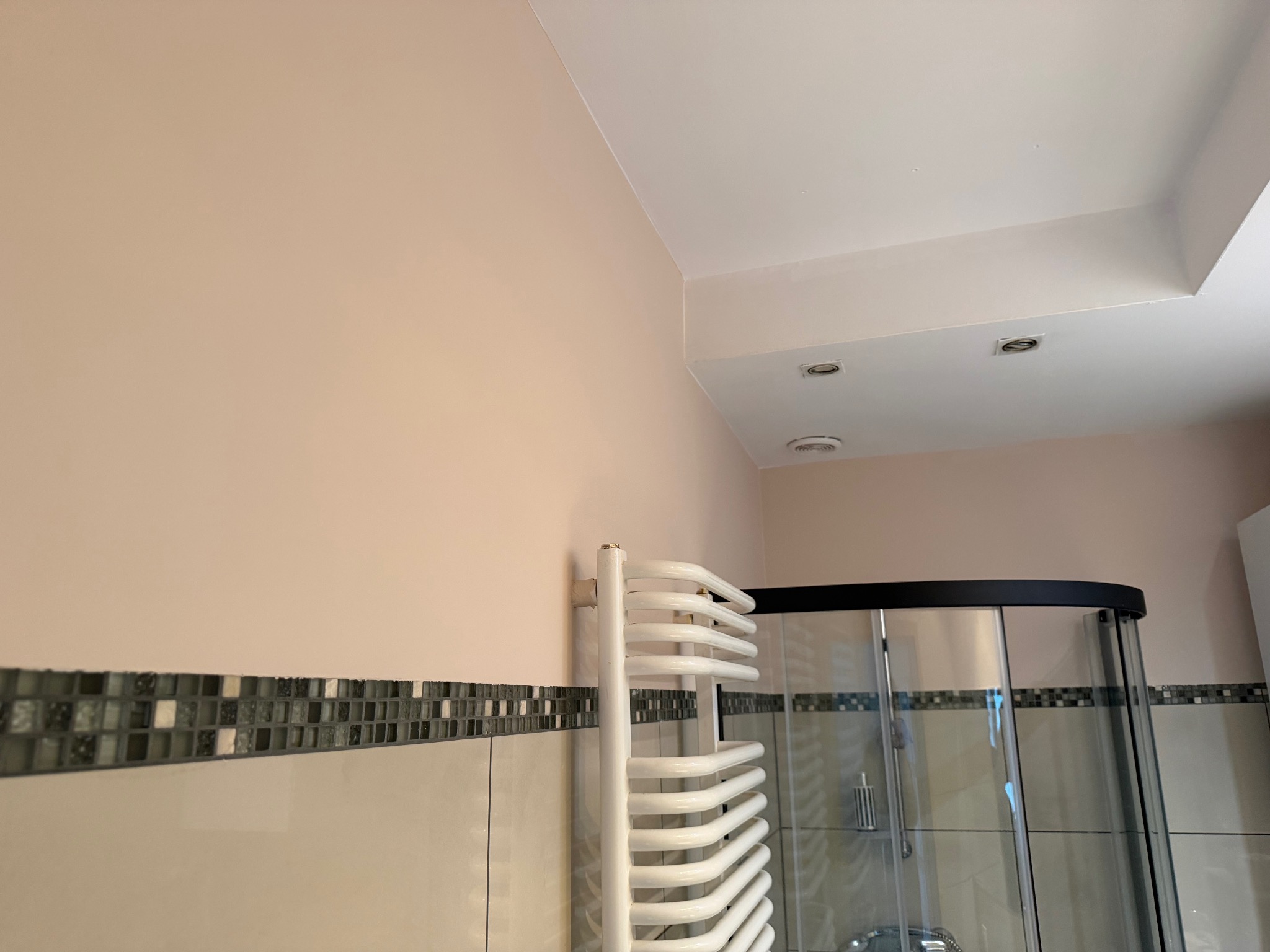 Jasnoróżowa ściana w łazience z dekoracyjnym pasem mozaiki, biały grzejnik drabinkowy i kabina prysznicowa z czarnymi obramowaniami. Widoczne oświetlenie sufitowe.