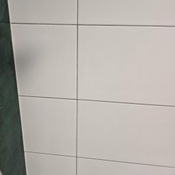 Angelika Kowal - Czyste, białe płytki w łazience, ułożone równo z ciemnozieloną ścianą w tle. Widoczny fragment węża prysznicowego. Minimalistyczne ujęcie.