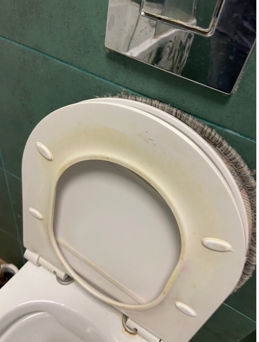 Z bliska: zabrudzona, biała deska sedesowa z szarą nakładką, widoczne ślady użytkowania na tle zielonych płytek i fragmentu spłuczki.