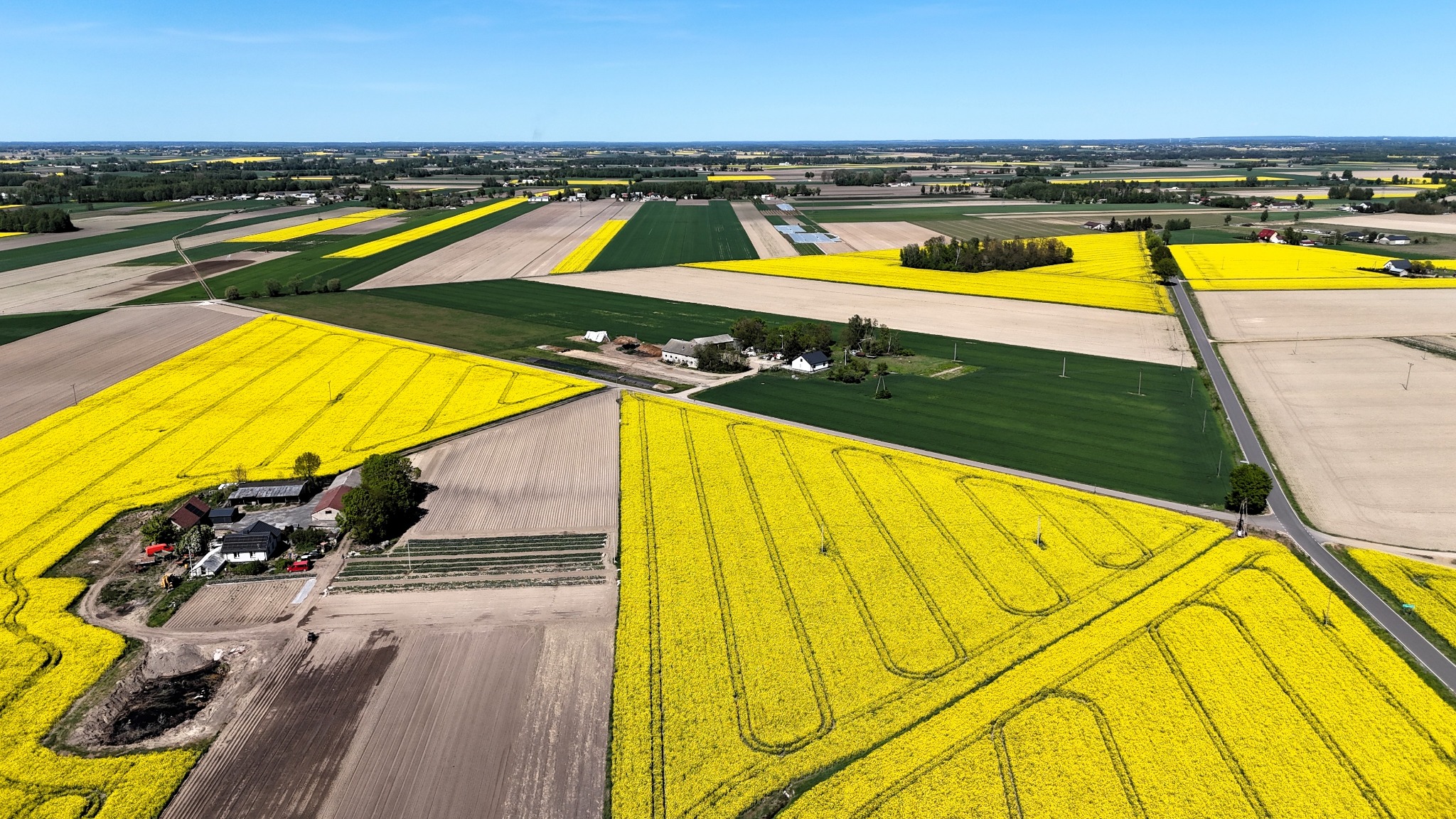 Panoramiczny widok z lotu ptaka na mozaikę pól uprawnych w słoneczny dzień. Żółte pola rzepaku kontrastują z zielenią i beżem, tworząc malowniczy krajobraz.