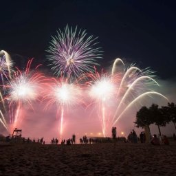 SklepZpetardami PL Gold-Weco Fajerwerki i Petardy Poznań - Spektakularny pokaz fajerwerków nad plażą w nocnej scenerii, z widocznymi sylwetkami obserwujących osób i drzewami w tle.