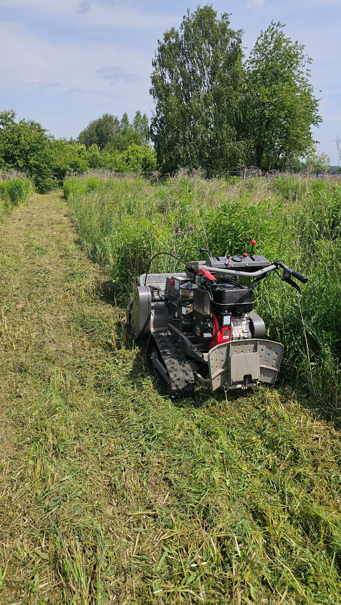 Kosiarka bijakowa na gąsienicach w wysokiej trawie, ślad koszenia widoczny po lewej stronie. Maszyna z czarnym silnikiem i czerwonymi elementami. W tle drzewa i błękitne niebo.