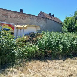 Zadbany Ogród - Wycinanie dzikich malin