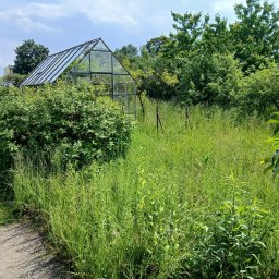 Działka przed koszeniem