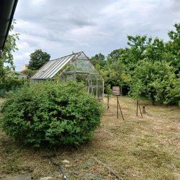 Działka po koszeniu