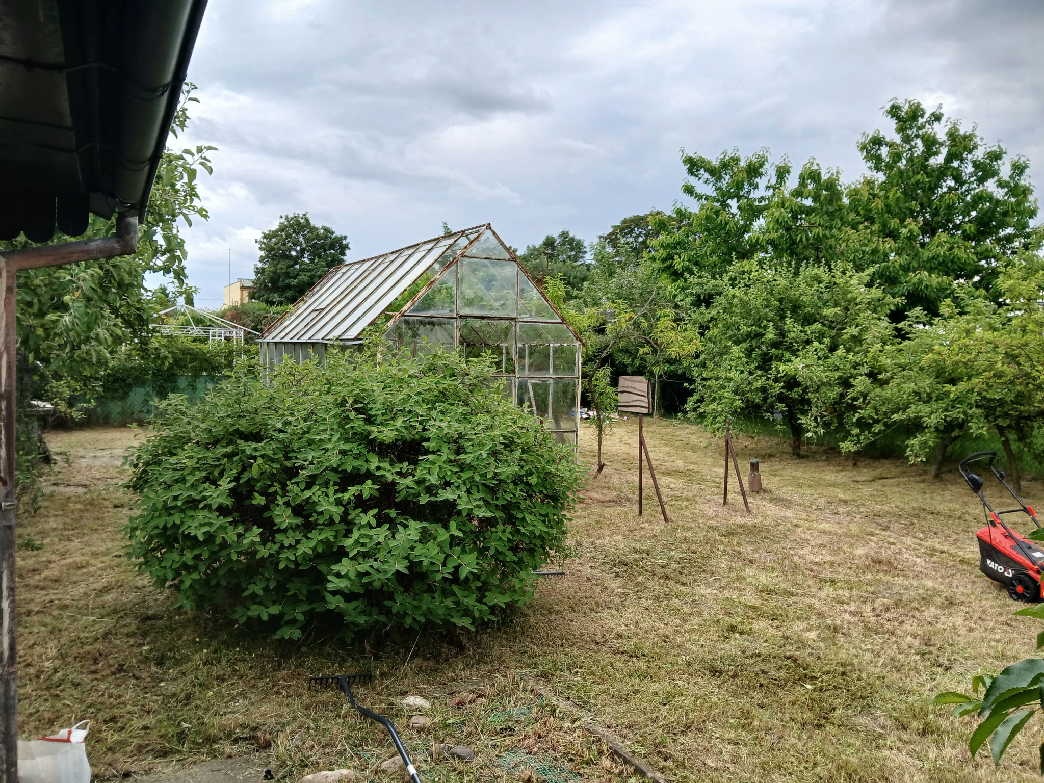 Działka po koszeniu