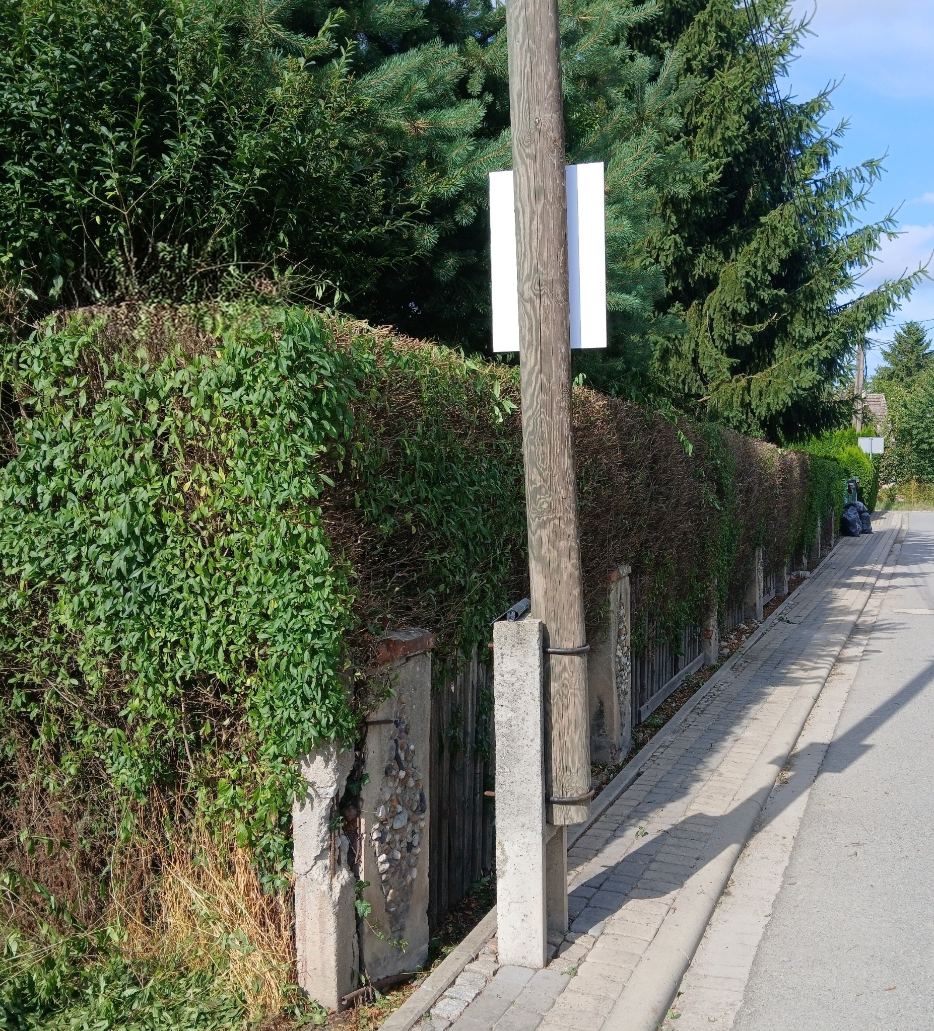 Długi, częściowo zaniedbany żywopłot wzdłuż chodnika, z widocznymi uszkodzeniami betonowych słupków i fragmentami uschniętych roślin. Na drugim planie drzewa iglaste.