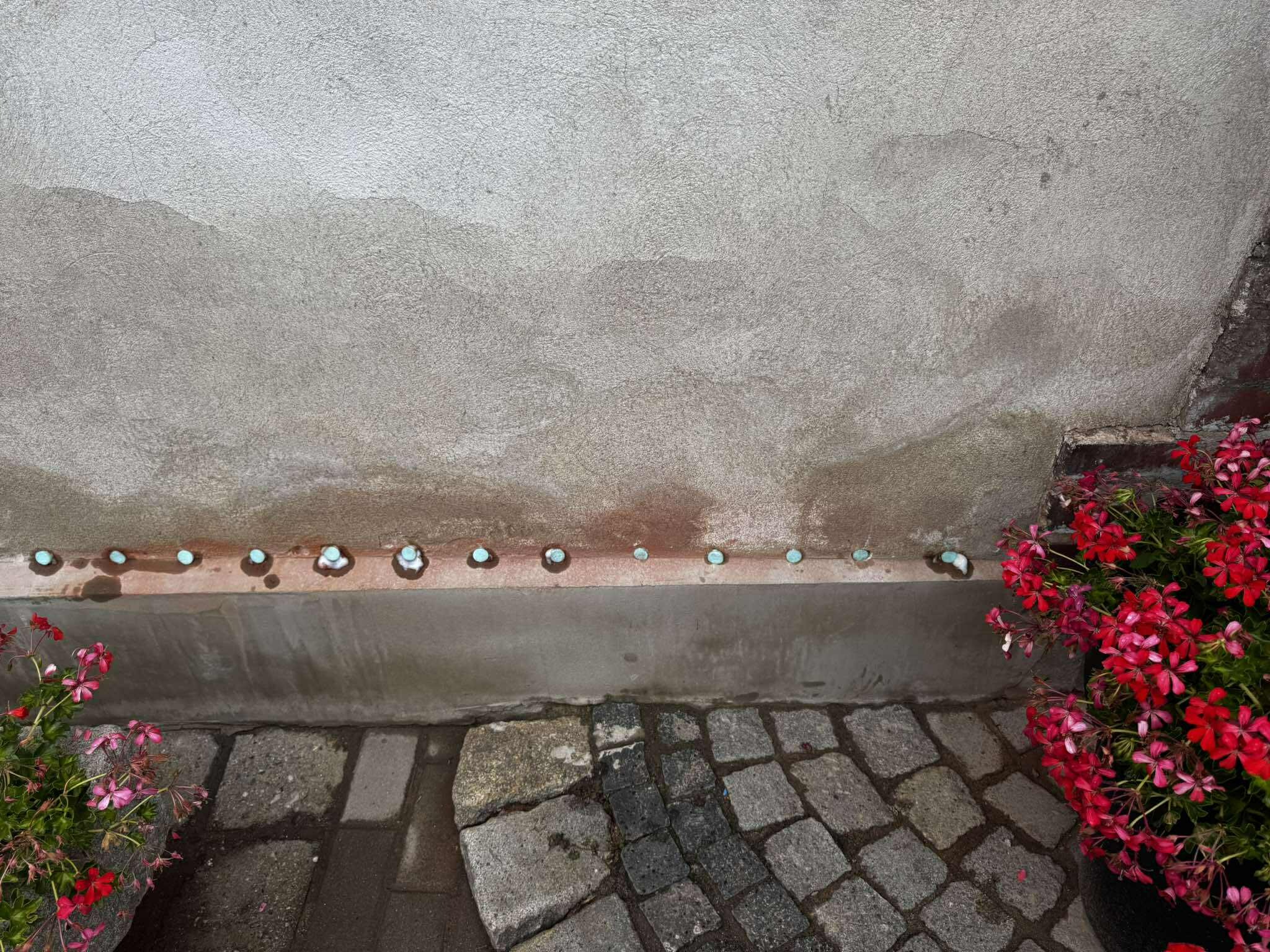 Ślady wilgoci na ścianie budynku, widoczne punkty iniekcji z preparatem. W tle kostka brukowa i donice z czerwonymi kwiatami.