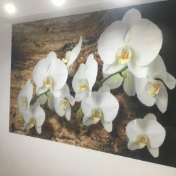 Dariusz Nowak - Gładzie Na Mokro Wrocław