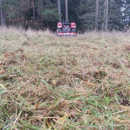 Wycinka drzew Przykopka 1