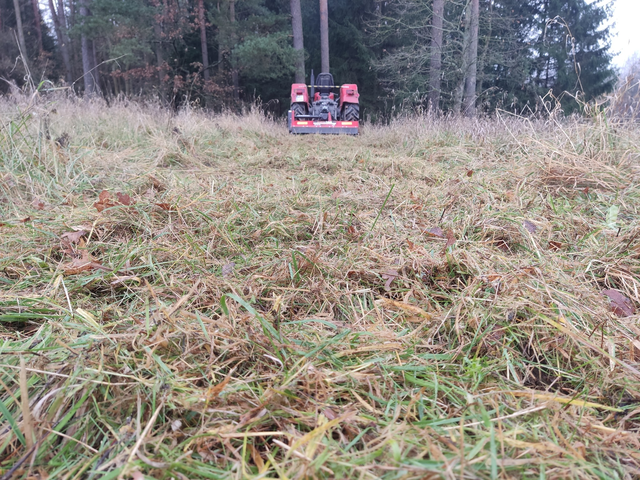 Czerwony traktor z kosiarką mulczującą na zarośniętej łące, w tle drzewa. Świeżo skoszona trawa widoczna na pierwszym planie. Praca w terenie.