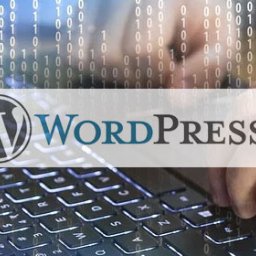 Vertes Design - strony internetowe Warszawa - Praca na laptopie z logo WordPress, kod binarny w tle. Usługi tworzenia stron WordPress w Warszawie. Detal klawiatury i dłoni.