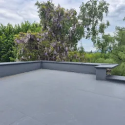 Szary dach płaski z widocznymi połączeniami papy, otoczony zielenią drzew i kwitnącą glicynią w tle, uchwycony w pochmurny dzień.