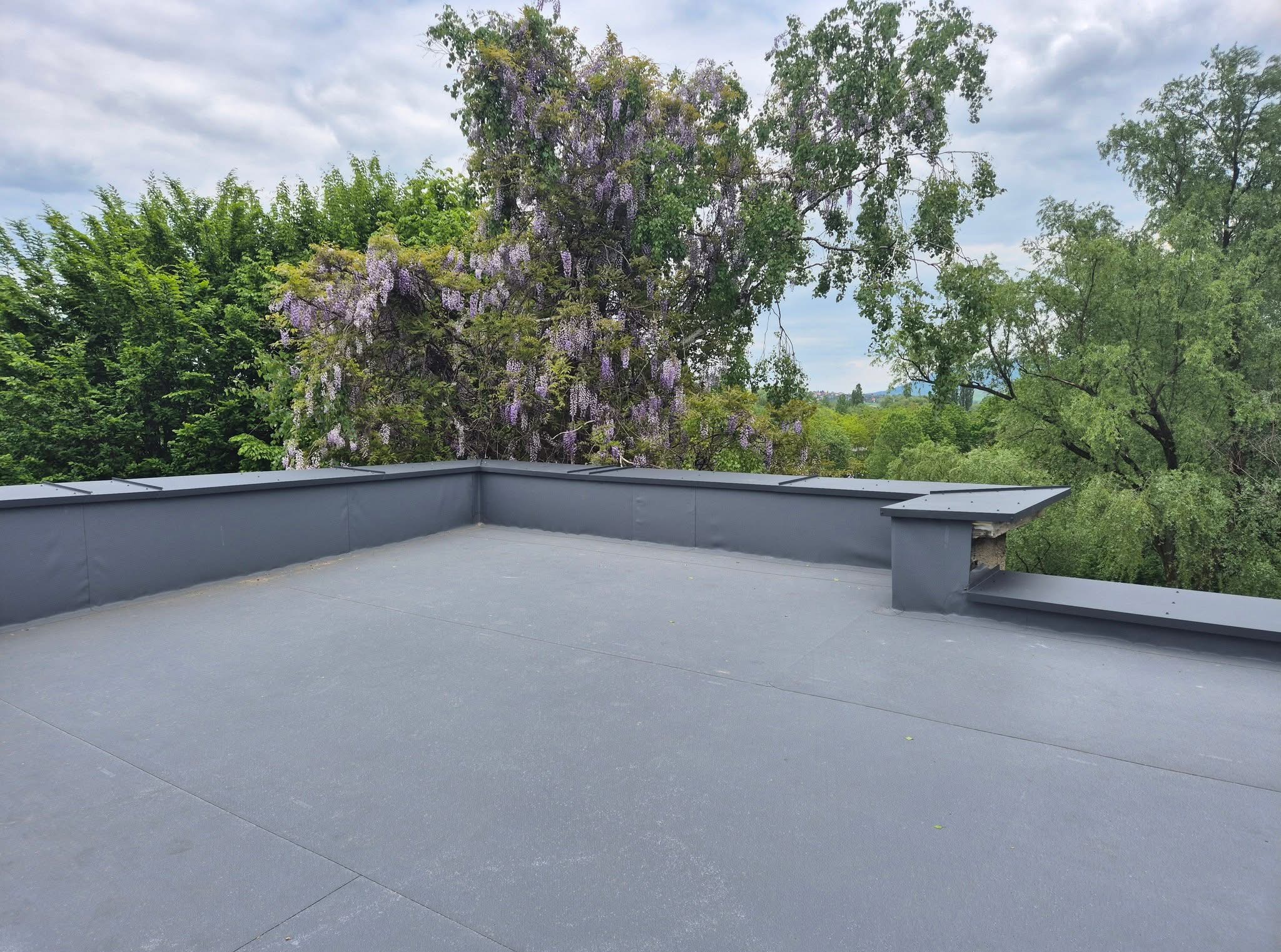 Szary dach płaski z widocznymi połączeniami papy, otoczony zielenią drzew i kwitnącą glicynią w tle, uchwycony w pochmurny dzień.