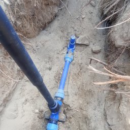 Q1 Dawid Kułan - Niebieskie rury instalacji wodnej ułożone w wykopie ziemnym z widocznymi korzeniami. Czarna rura doprowadzona z lewej strony. Złącza skręcane.