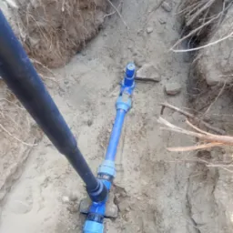 Niebieskie rury instalacji wodnej ułożone w wykopie ziemnym z widocznymi korzeniami. Czarna rura doprowadzona z lewej strony. Złącza skręcane.