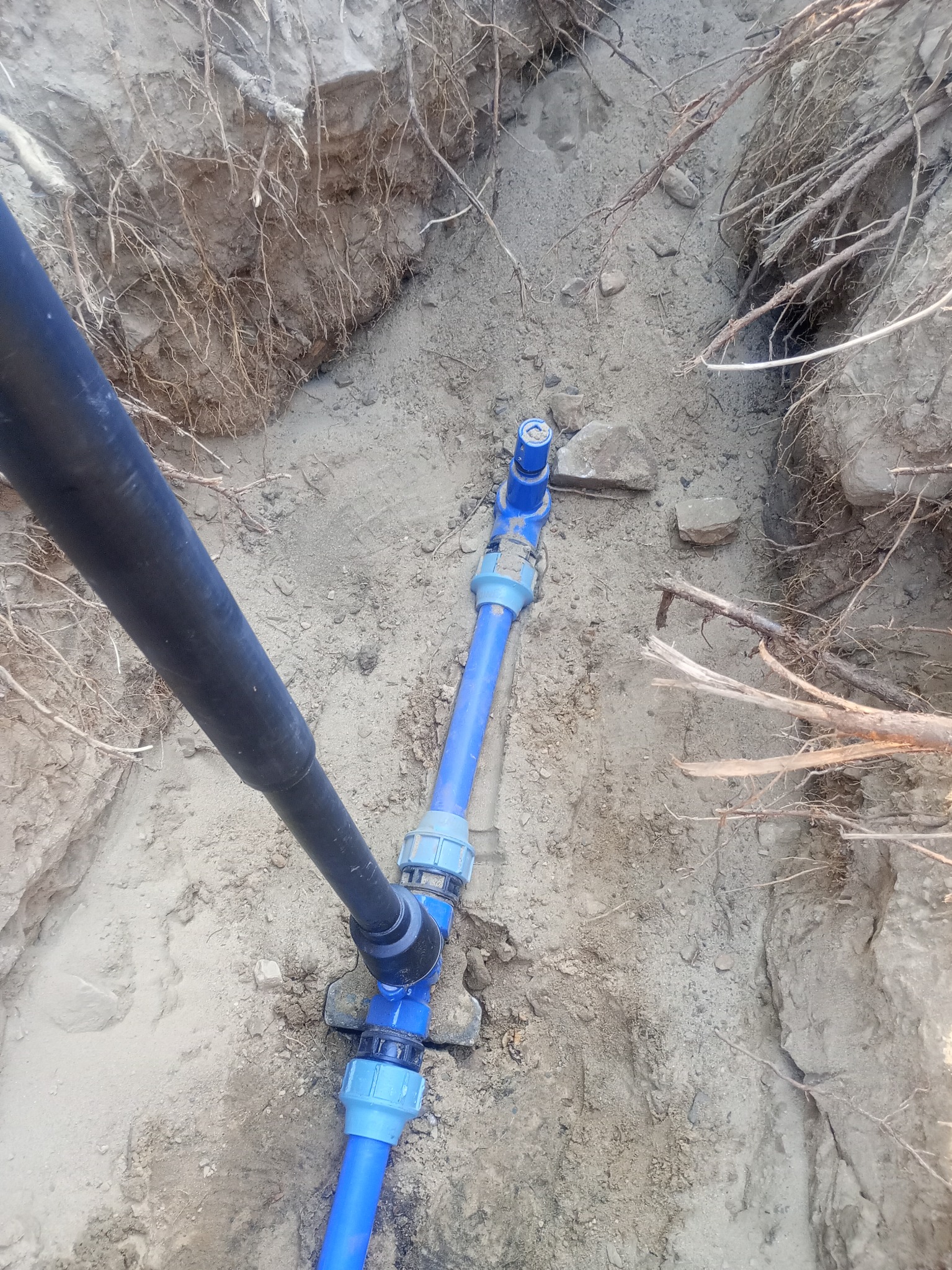 Niebieskie rury instalacji wodnej ułożone w wykopie ziemnym z widocznymi korzeniami. Czarna rura doprowadzona z lewej strony. Złącza skręcane.