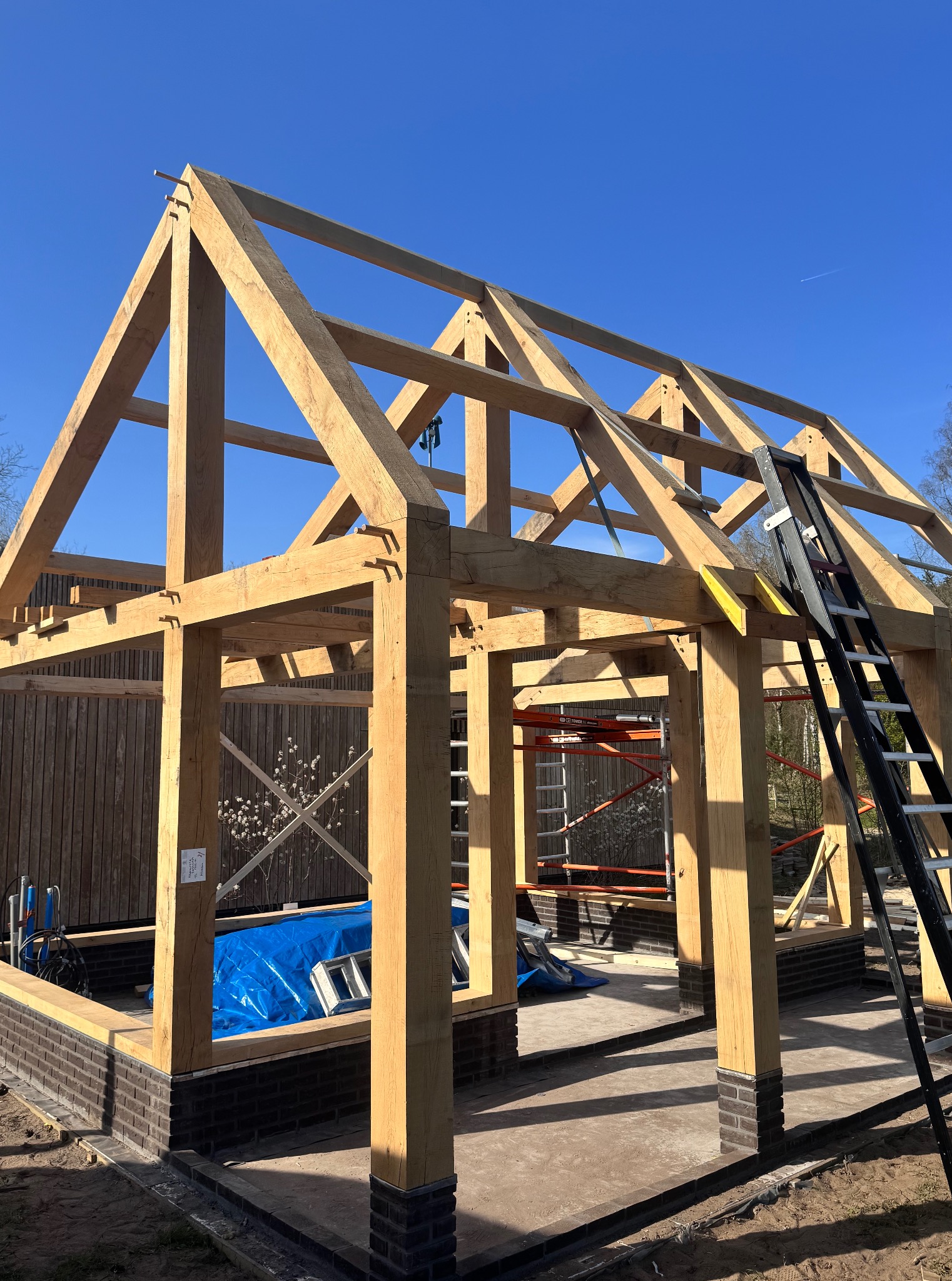 Konstrukcja drewnianego szkieletu domu z widocznymi elementami złączeń ciesielskich, czarna drabina oparta o konstrukcję, błękitne niebo w tle, początkowy etap budowy.
