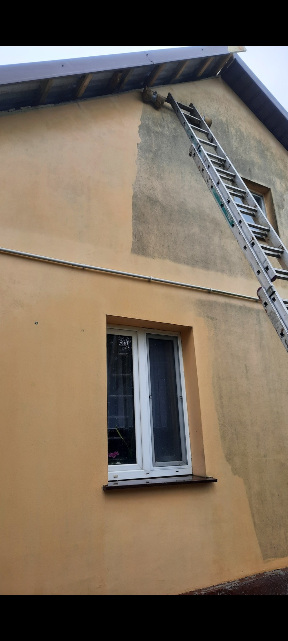 Fragment elewacji w trakcie mycia, widoczna drabina oparta o budynek, częściowo umyta ściana, okno z kwiatami na parapecie. Ujęcie z dołu.