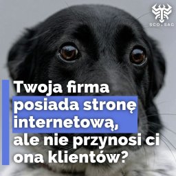 Tworzenie stron internetowych Toruń 2