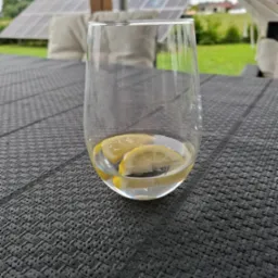 Szklanka z wodą i cytryną na tle panelu słonecznego, hamaka i zieleni. Letni relaks na tarasie.