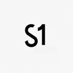 Grafika wektorowa z czarnym napisem 'S1' na białym tle. Minimalistyczny design, czcionka bezszeryfowa. Prosty i czytelny przekaz.