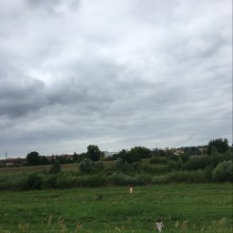 Paula Paula - Prace Ziemne Gorzów Wielkopolski