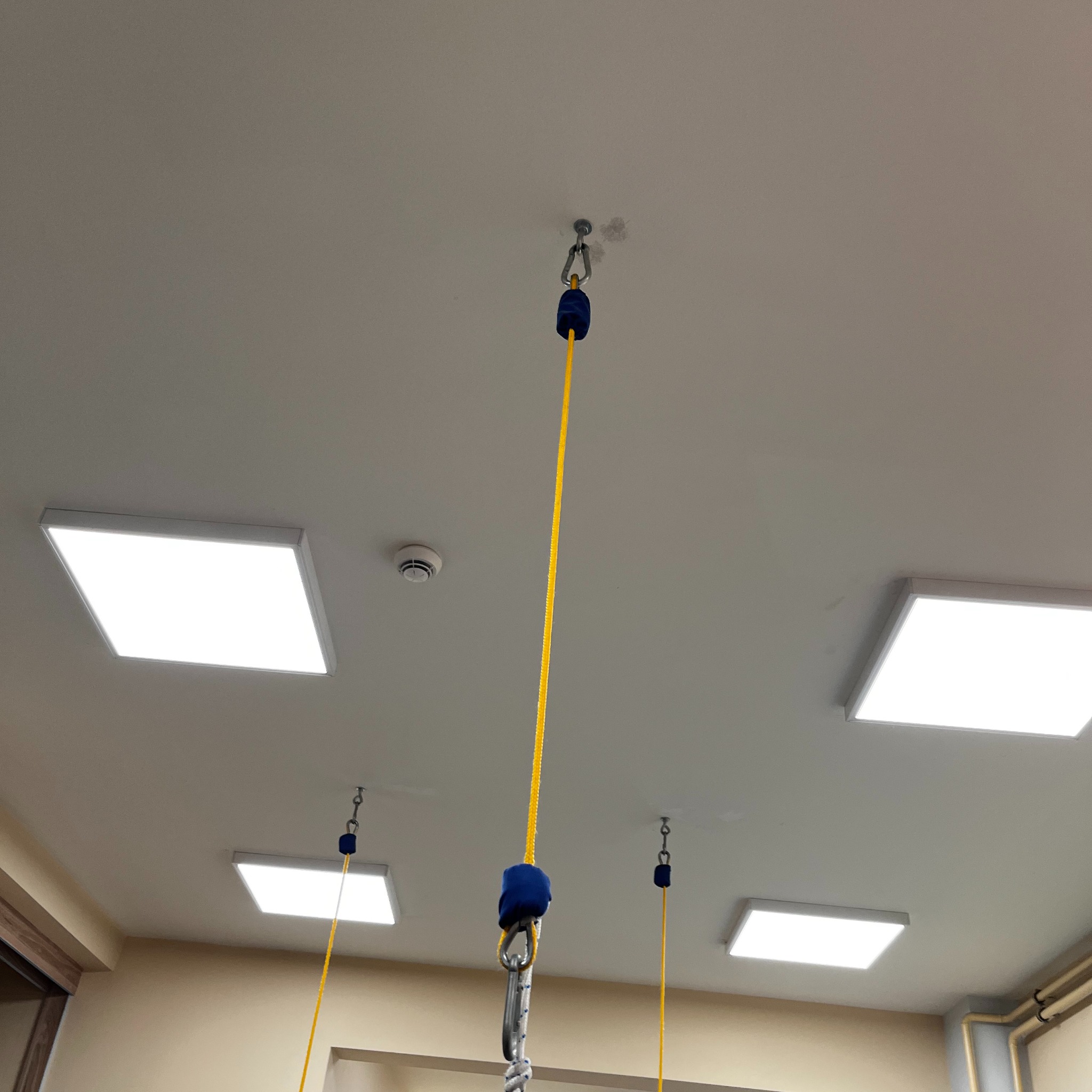Żółta lina przymocowana do sufitu za pomocą metalowych karabińczyków z niebieskimi osłonami, widoczne lampy sufitowe i czujnik dymu.