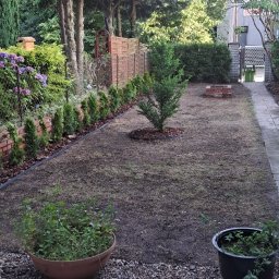 MKKA - Widok na ogród po założeniu trawnika i posadzeniu roślin, z widocznymi donicami na pierwszym planie i drzewami w tle.