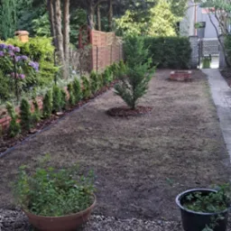 Widok na ogród po założeniu trawnika i posadzeniu roślin, z widocznymi donicami na pierwszym planie i drzewami w tle.