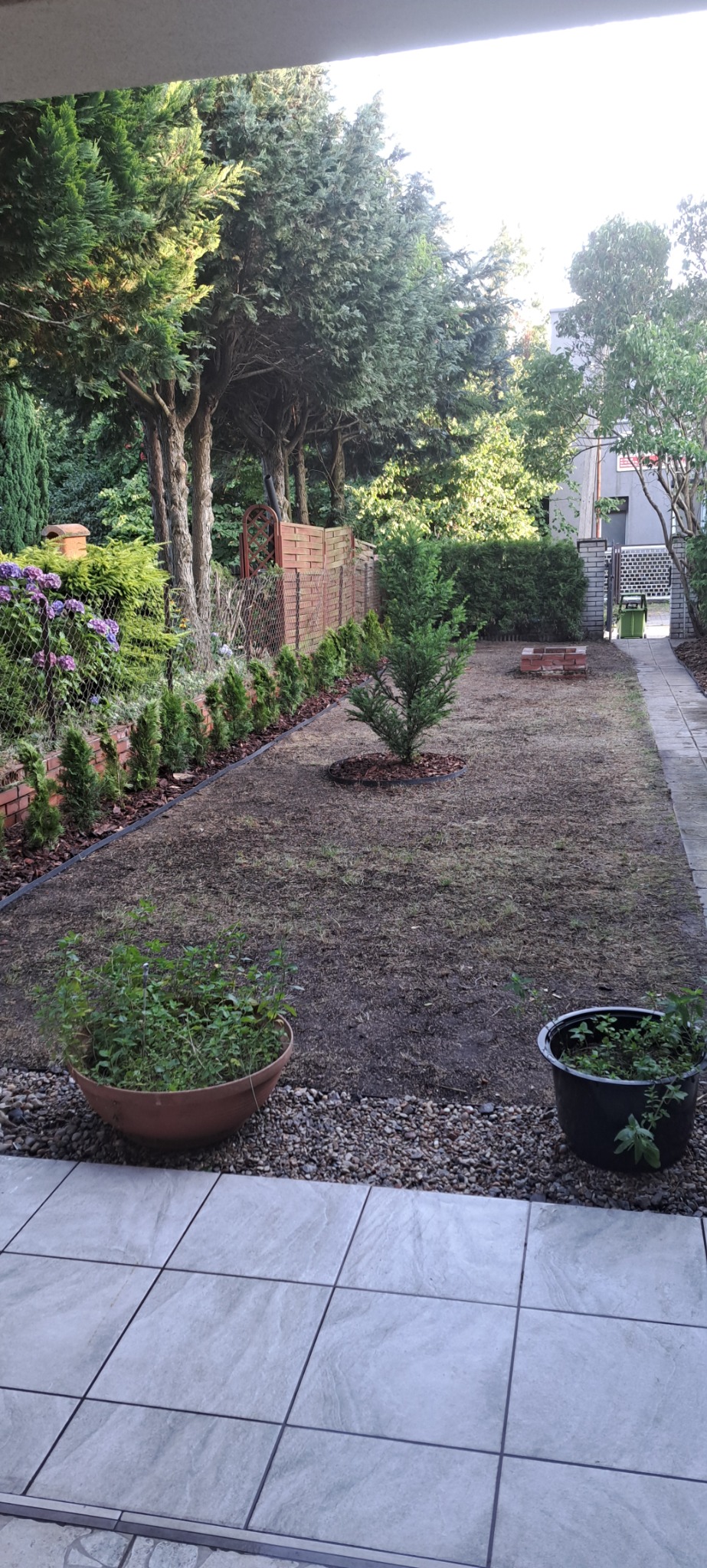 Widok na ogród po założeniu trawnika i posadzeniu roślin, z widocznymi donicami na pierwszym planie i drzewami w tle.