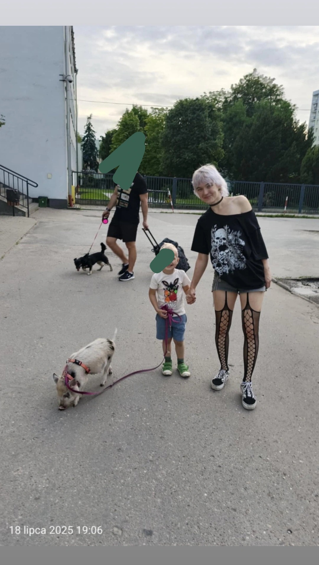 Kobieta z dzieckiem trzymający świnkę na smyczy, w tle mężczyzna z psem na smyczy, spacer w dzień. Nietypowe zwierzę domowe.