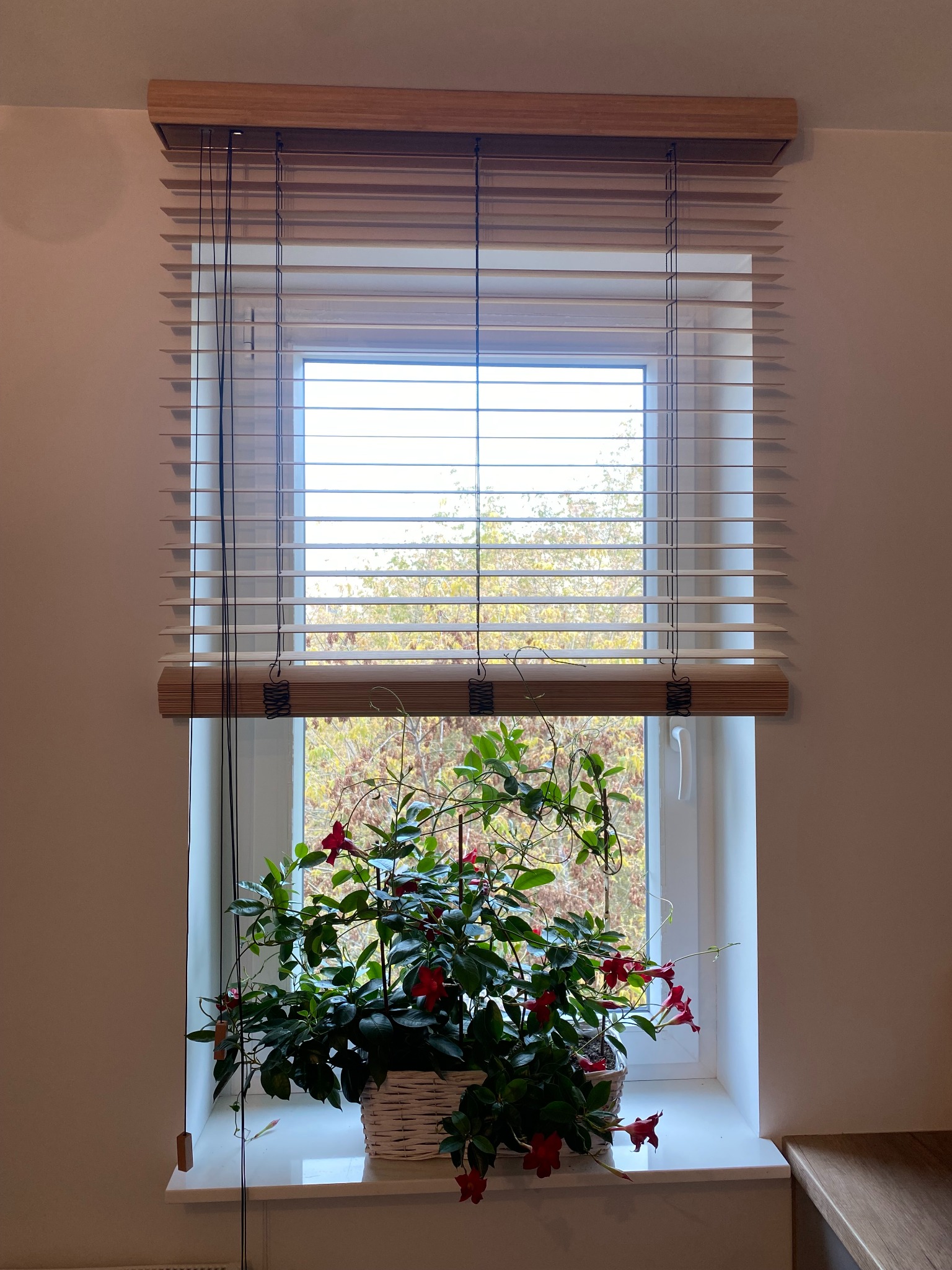 Żaluzja Drewniana 50 Mm