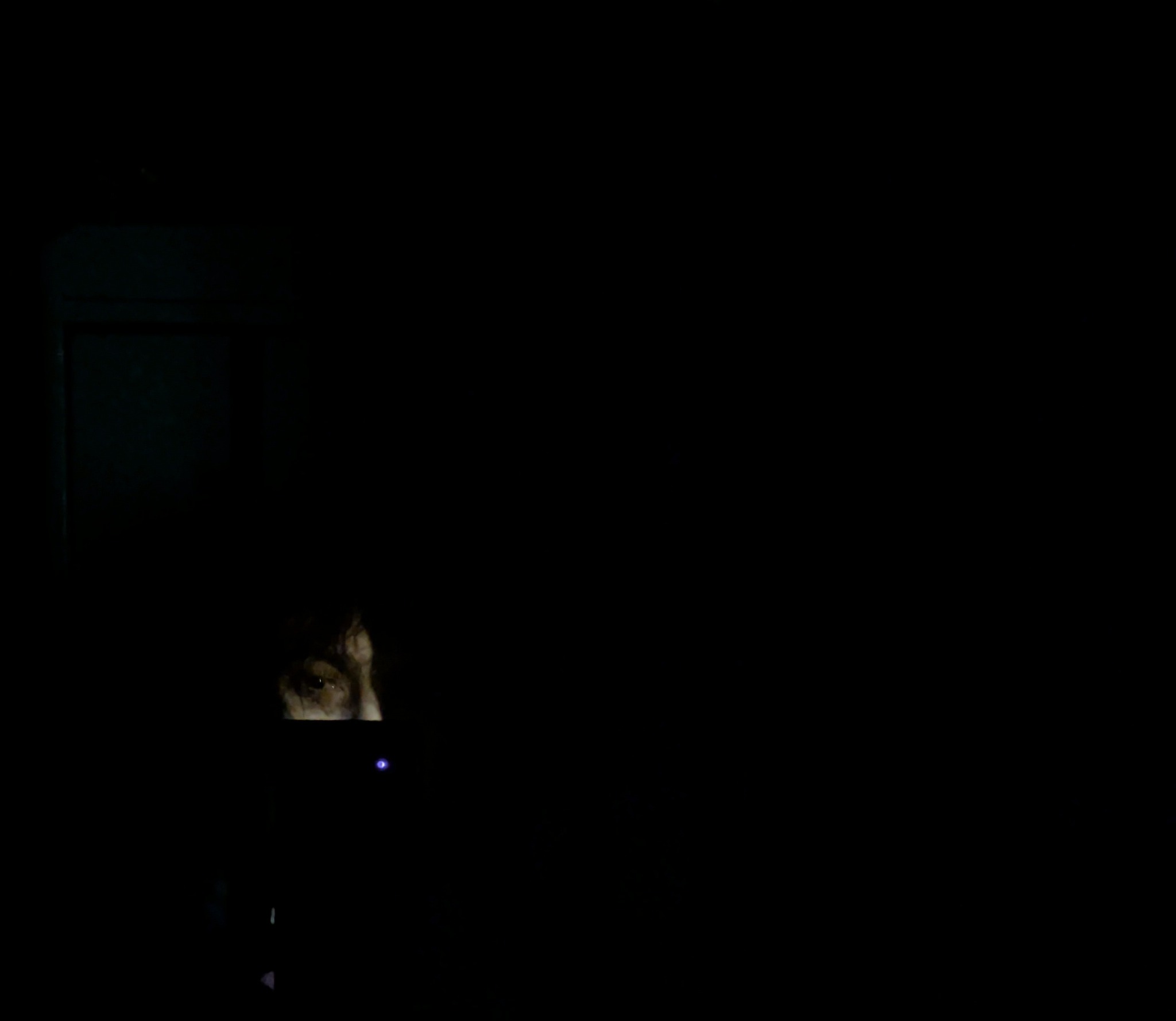 Słabo oświetlone ujęcie fragmentu twarzy osoby z ekranem komputera w ciemności, prawdopodobnie podczas pracy nocnej. Widoczny fragment klawiatury.