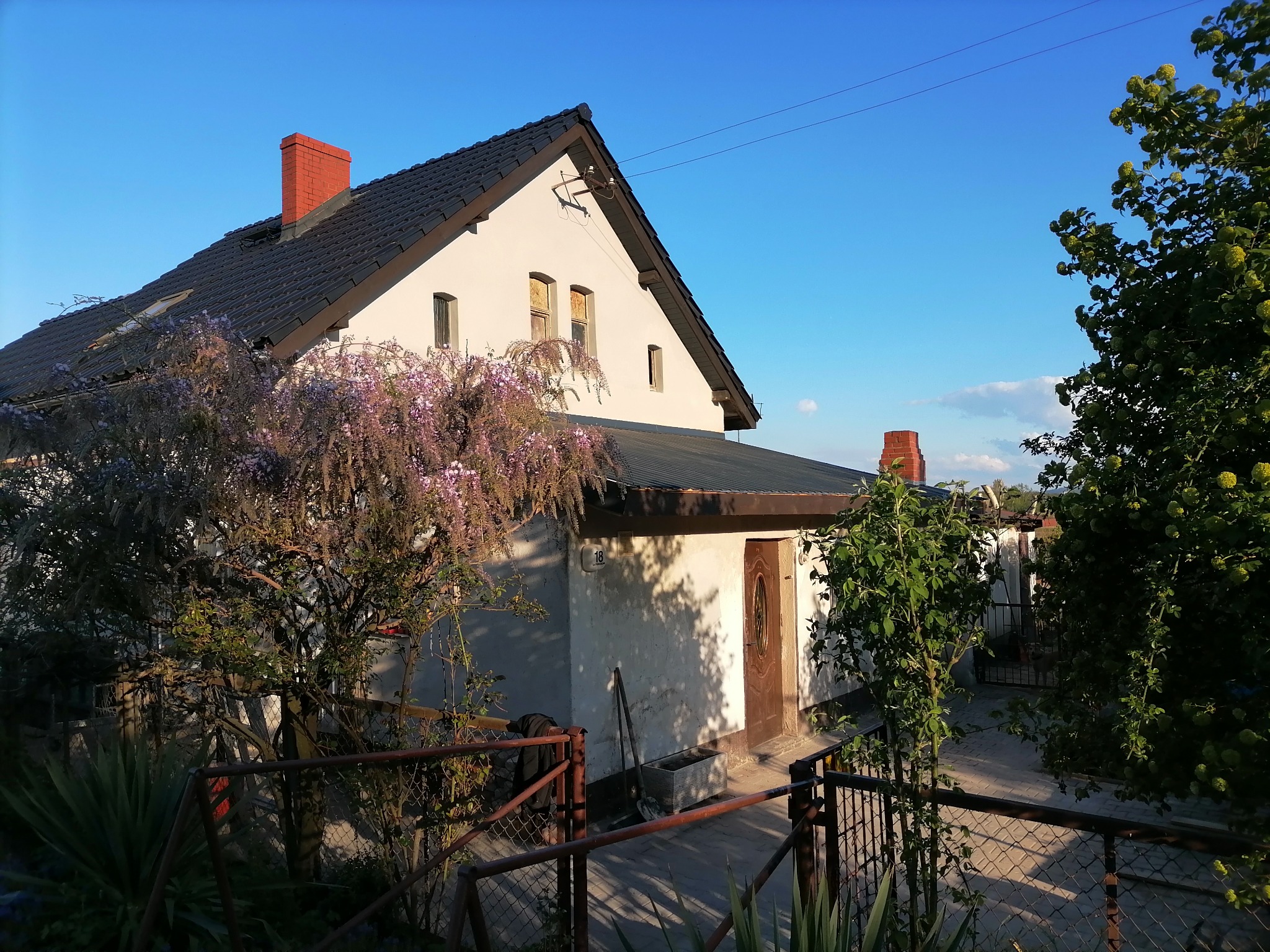 Dom jednorodzinny z ciemnym dachem i czerwonym kominem, widziany zza ogrodzenia, z kwitnącym drzewem wisterii po lewej stronie i zielenią po prawej.