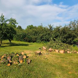 Gałązka&Spółka - Ścięte pnie i gałęzie drzew na trawniku po wycince. Widoczne pozostałości po pracy ogrodniczej w słoneczny dzień, zieleń drzew i błękit nieba w tle.