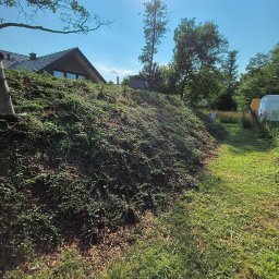 Wycinka drzew Tychy 4