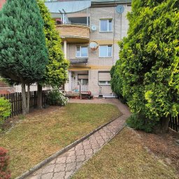 Wycinka drzew Tychy 1