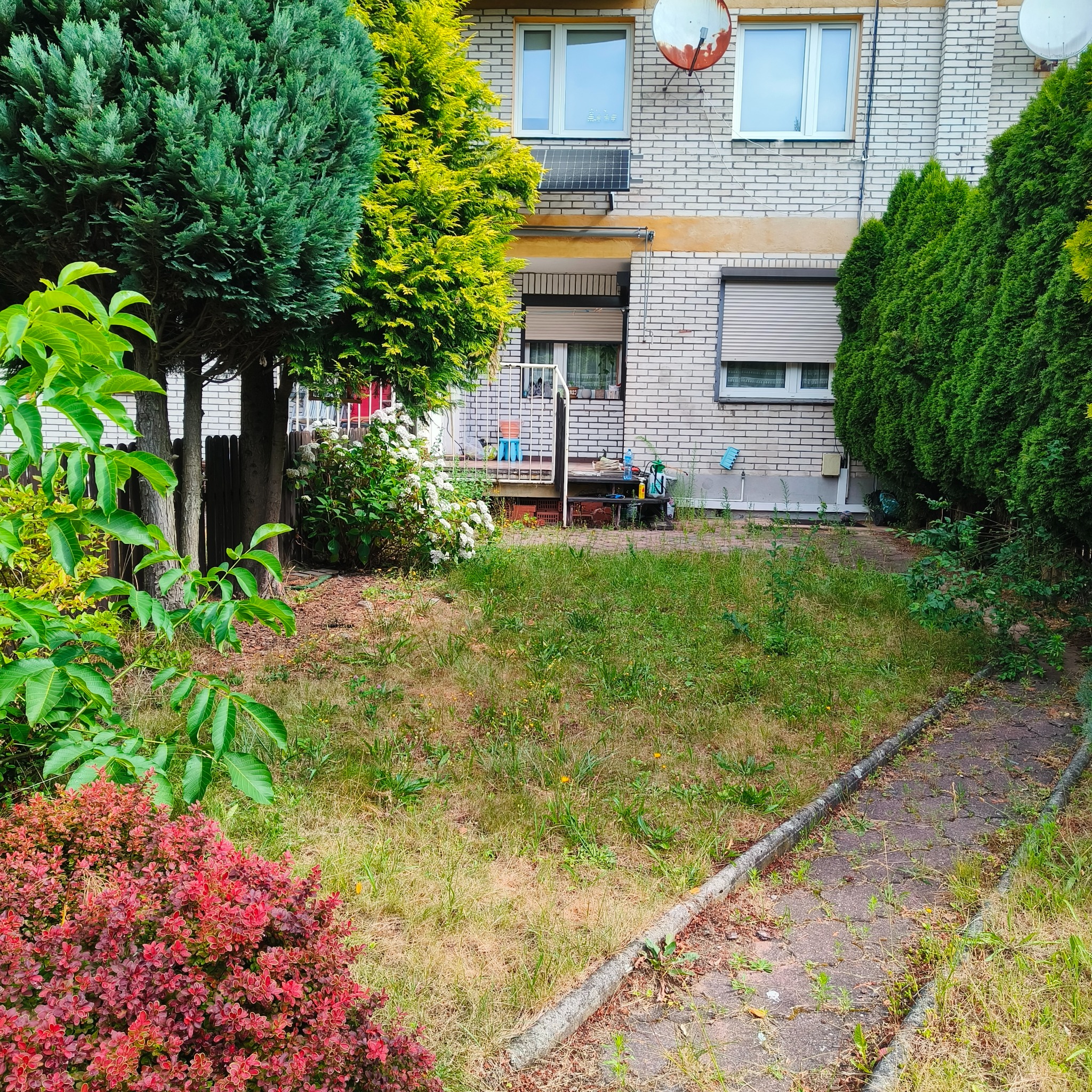 Zaniedbany trawnik przed budynkiem z cegły, z widocznymi krzewami i drzewami. Na trawniku widoczne ślady po koszeniu. Ścieżka z płyt betonowych.