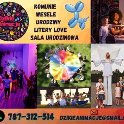 Dzikie Animacje - Kolaż zdjęć: animator z ogniem, dzieci z chustą animacyjną, litery LOVE z dziećmi, anioł na szczudłach i sala urodzinowa. Dzikie Animacje.