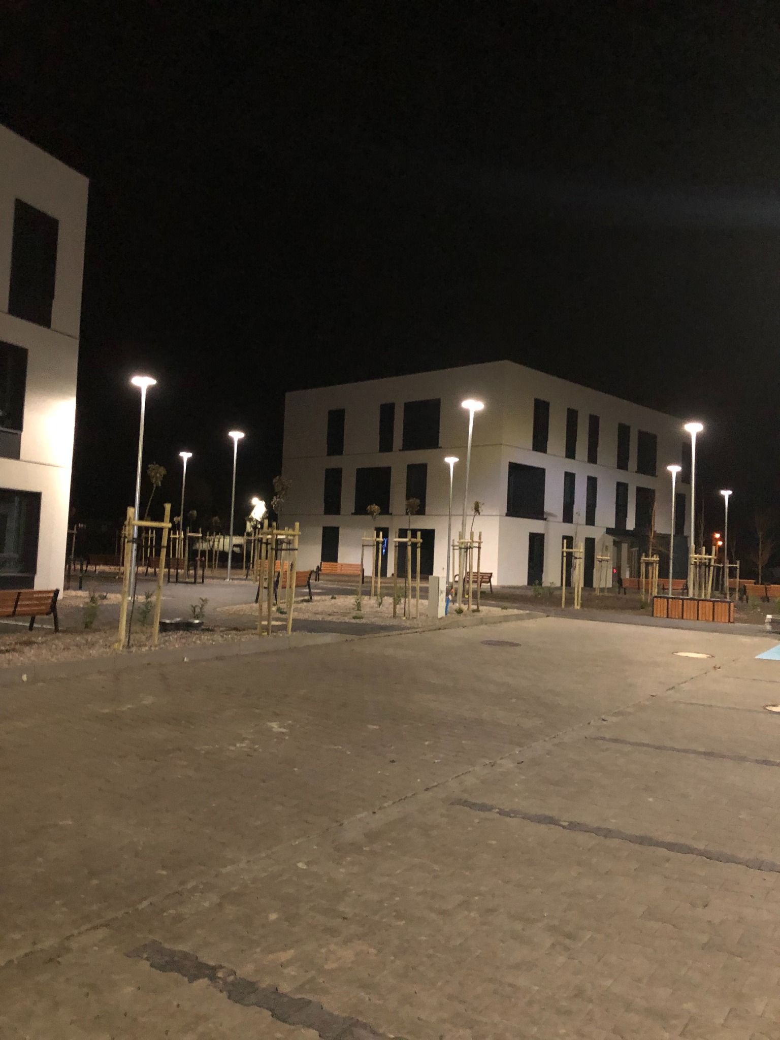 Nocny widok na plac z kostki brukowej, oświetlony latarniami, z nowo posadzonymi drzewami i budynkami w tle. Minimalistyczny styl architektury.