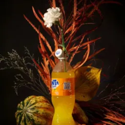 Martwa natura: butelka Fanta z kwiatem, dynia, mandarynki i suche gałęzie na ciemnym tle. Nietypowe połączenie elementów, miękkie światło.