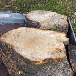 ArboCut - Dwa świeżo ścięte pnie drzew w metalowej skrzyni transportowej, z widoczną strukturą drewna i korą. Trawa w tle sugeruje teren zielony po wycince.