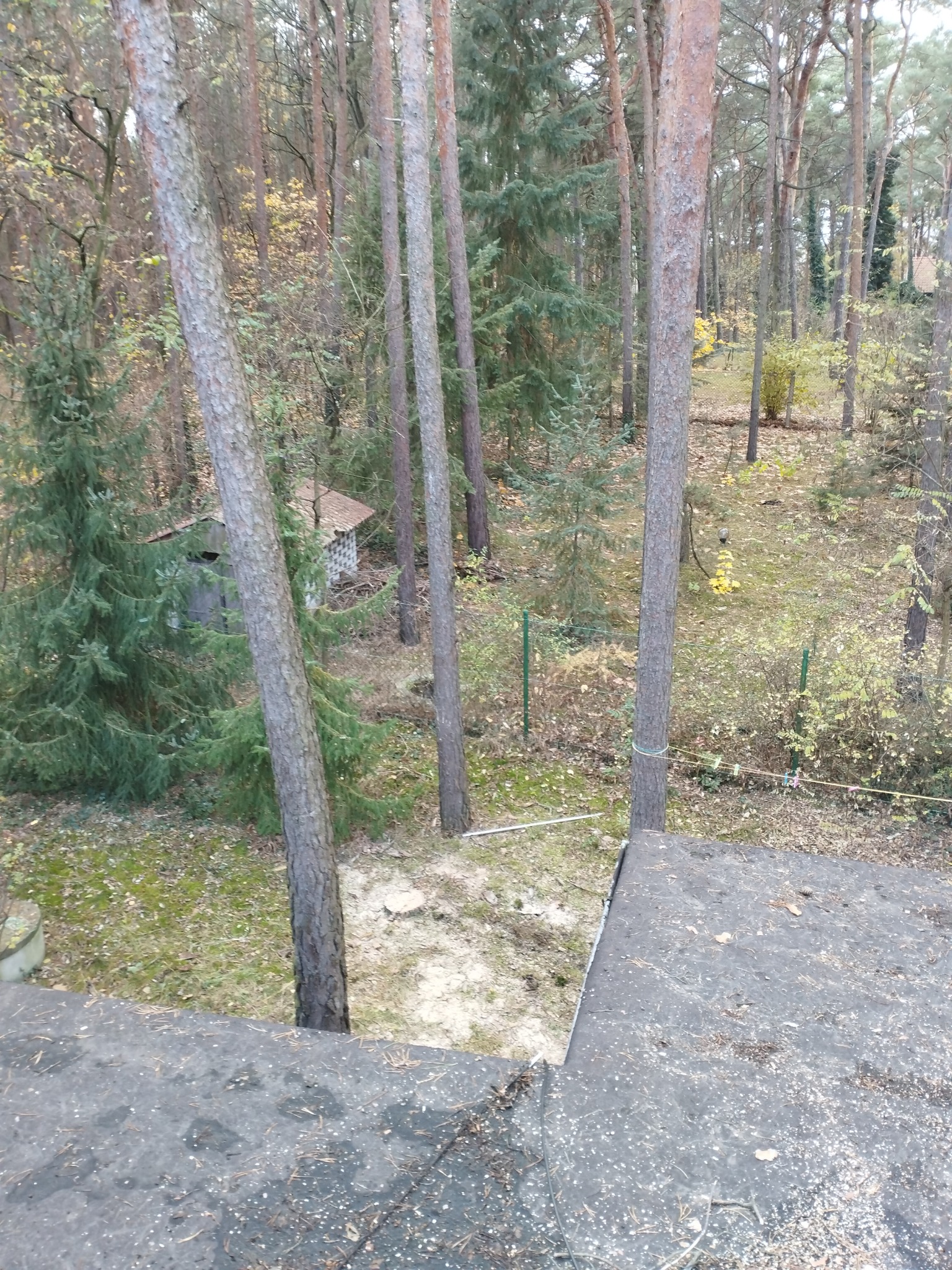 Widok z dachu na las z drzewami iglastymi i małym budynkiem w oddali. Ujęcie z góry, z fragmentem pokrycia dachowego w dolnej części kadru.